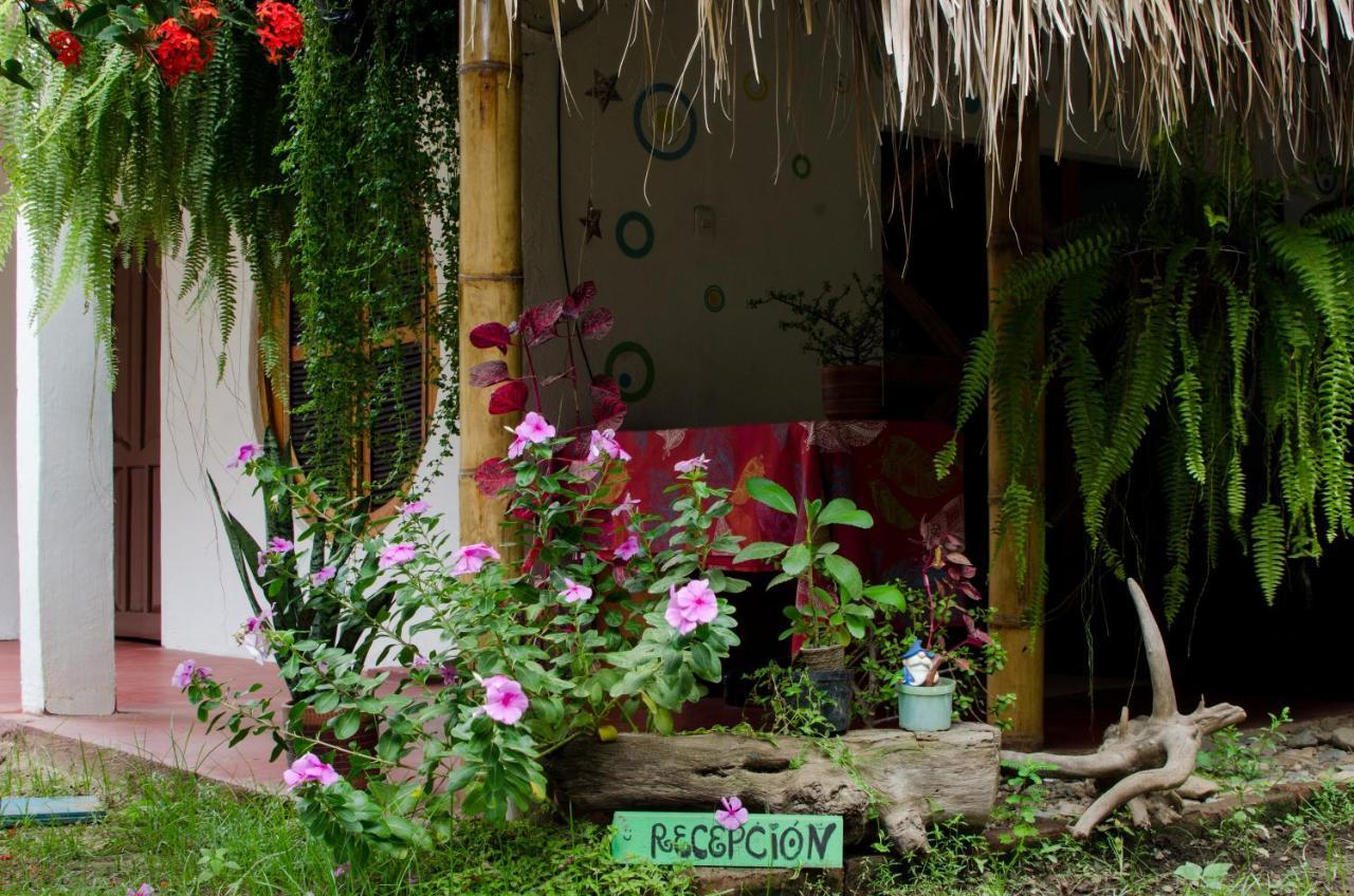 Hostal Corazon De Tagua Palomino Exterior foto
