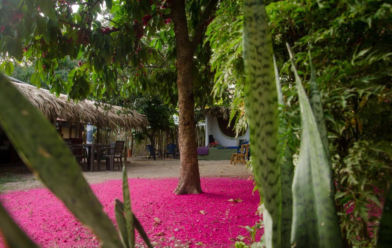Hostal Corazon De Tagua Palomino Exterior foto