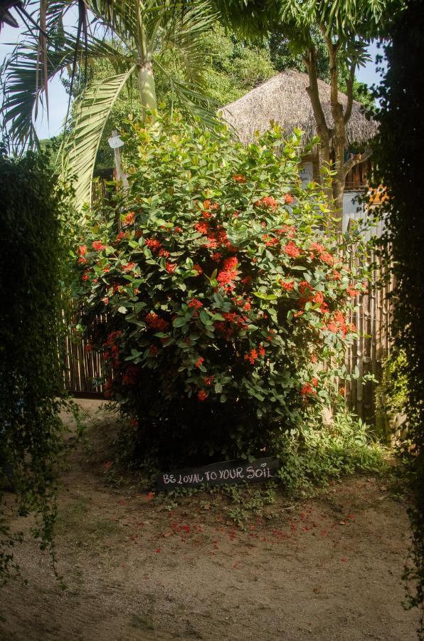 Hostal Corazon De Tagua Palomino Exterior foto